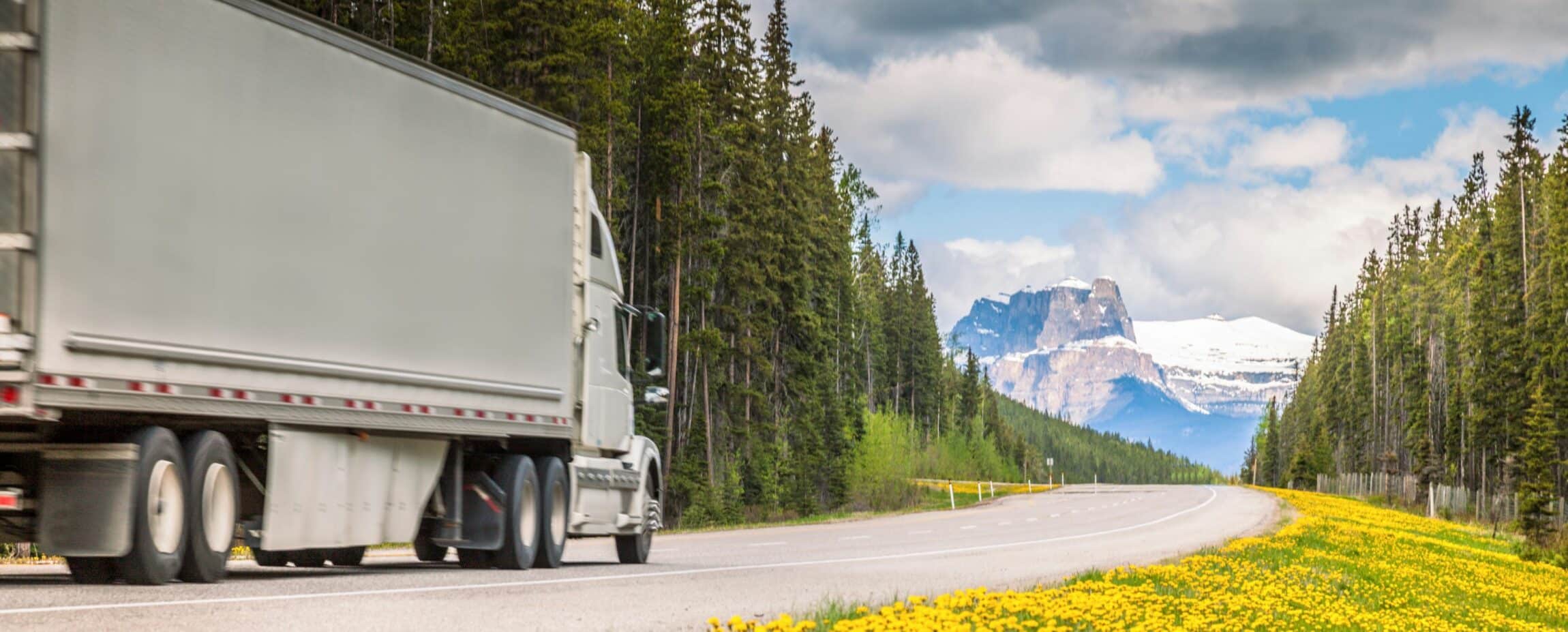 semi truck on road