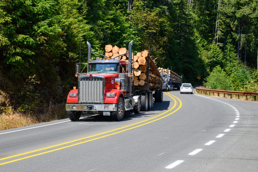 Loaded logging trucks