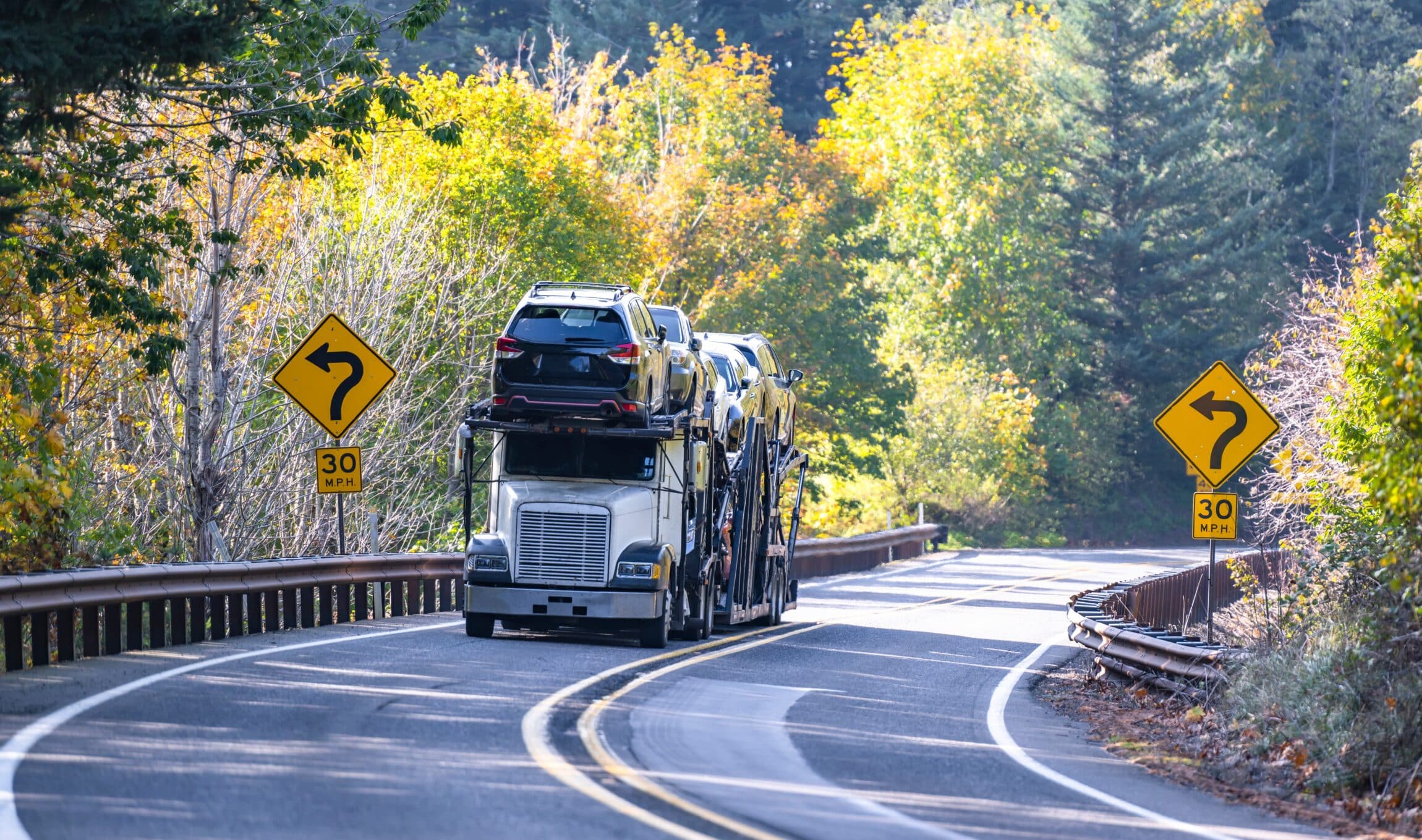 Industrial white big rig transporting cars