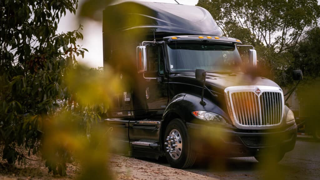Black semi cabin through leafs