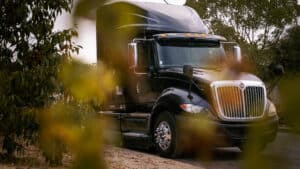 Black semi cabin through leafs