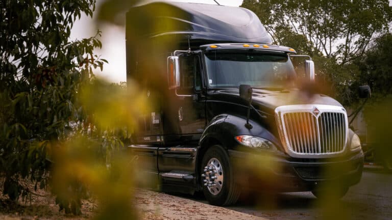 Black semi cabin through leafs