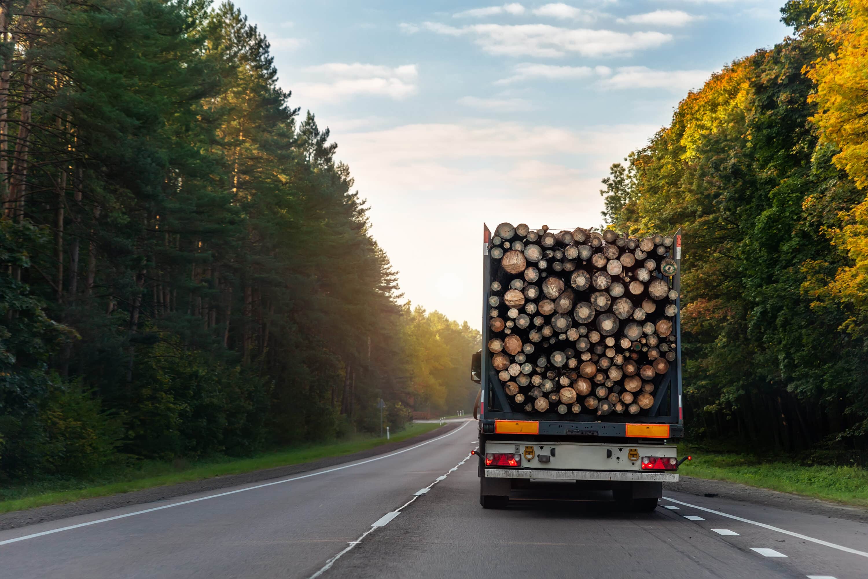 truck transporting wood