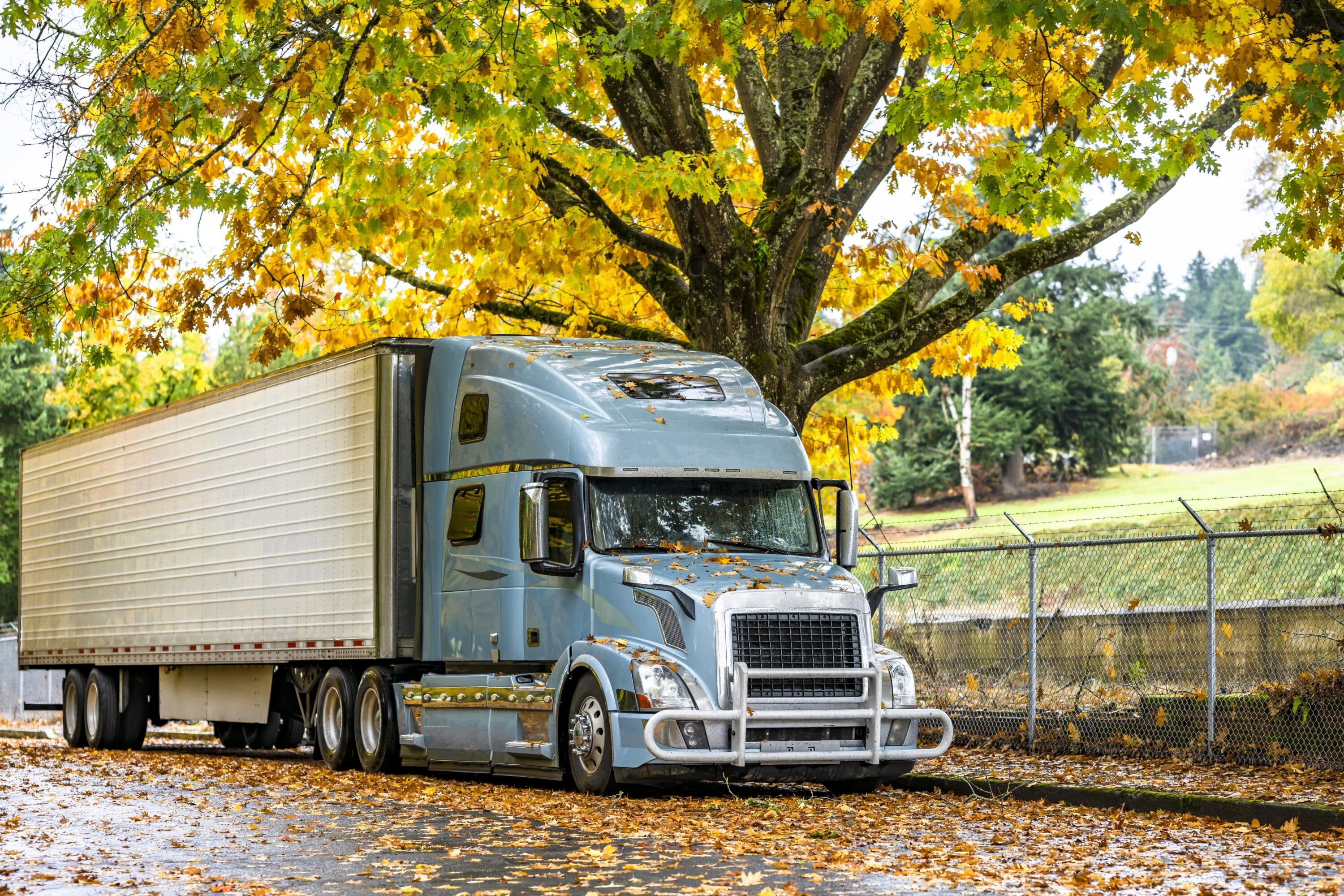 Gray semi-truck with box trailer parked beneath autumn trees with fallen leaves on the ground